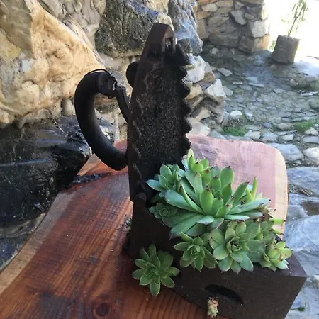 Stone Garden * Vidolm